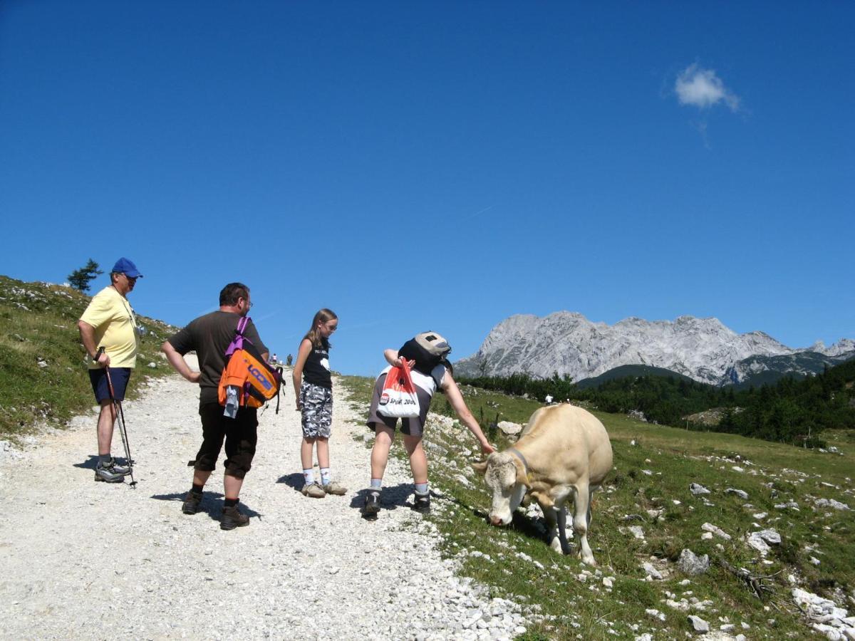 Alpine Chalet Velika Planina - Irenca - I Feel Alps Stahovica المظهر الخارجي الصورة